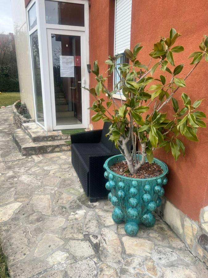 Rosehill Garden Family Villa With A Great Budapest View Exterior photo